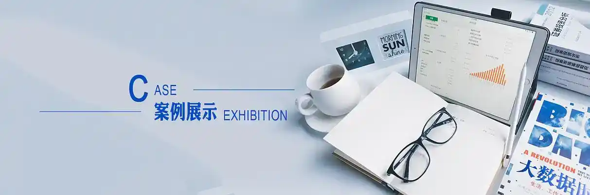 林甸县软件开发